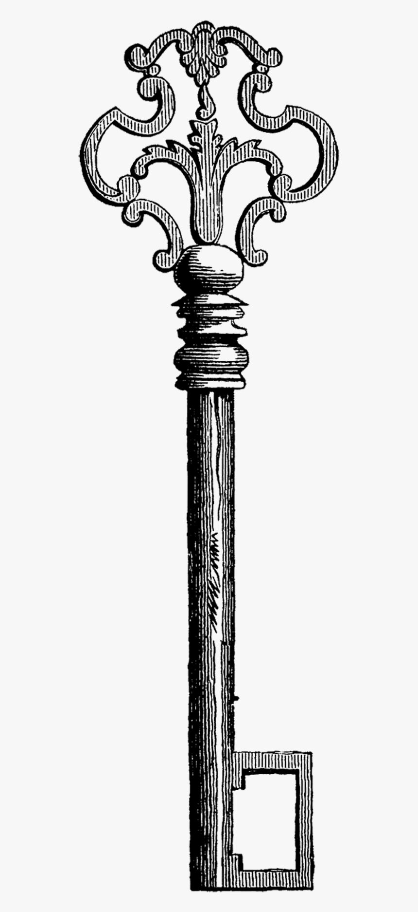 Alice S Adventures In Wonderland Skeleton Key Drawing - Vintage Alice In Wonderland Clip Art Free, HD Png Download