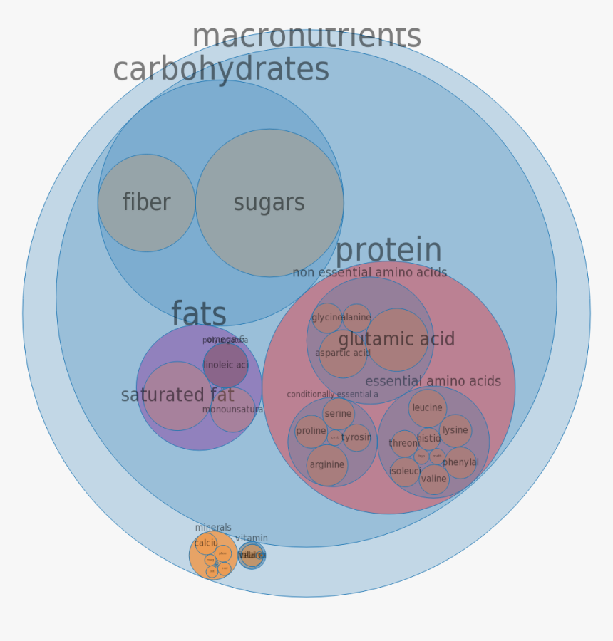 Circle, HD Png Download