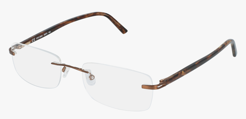 polo rimless eyeglasses