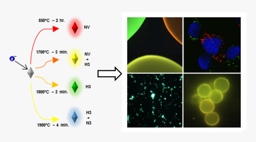 Circle, HD Png Download
