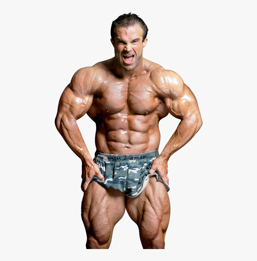Bodybuilding Png Images - Kathi Béla Scitec, Transparent Png