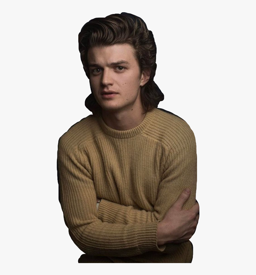 Joe Keery Luke Fontana, HD Png Download