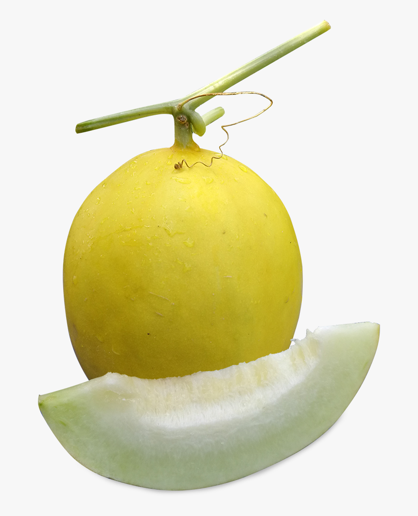 Pomelo, HD Png Download