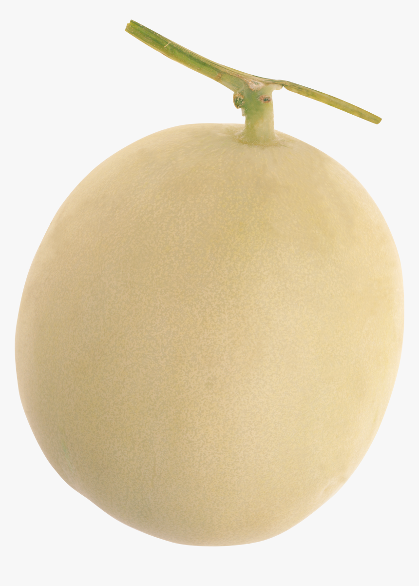 Melon Png - Kiwifruit, Transparent Png