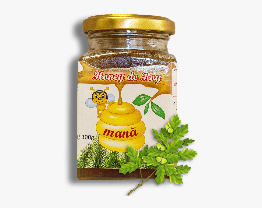 Kiwifruit, HD Png Download