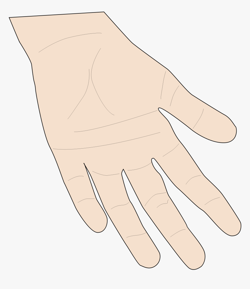 Transparent Skin Clipart - Hand Skin Clipart, HD Png Download