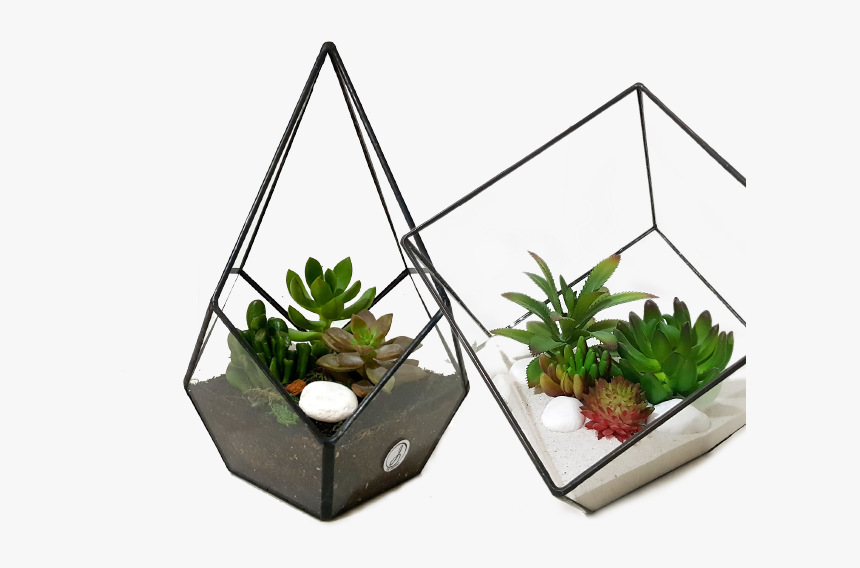 Houseplant , Transparent Cartoons - Flowerpot, HD Png Download