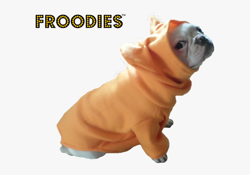 French Bulldog In A Jacket, HD Png Download