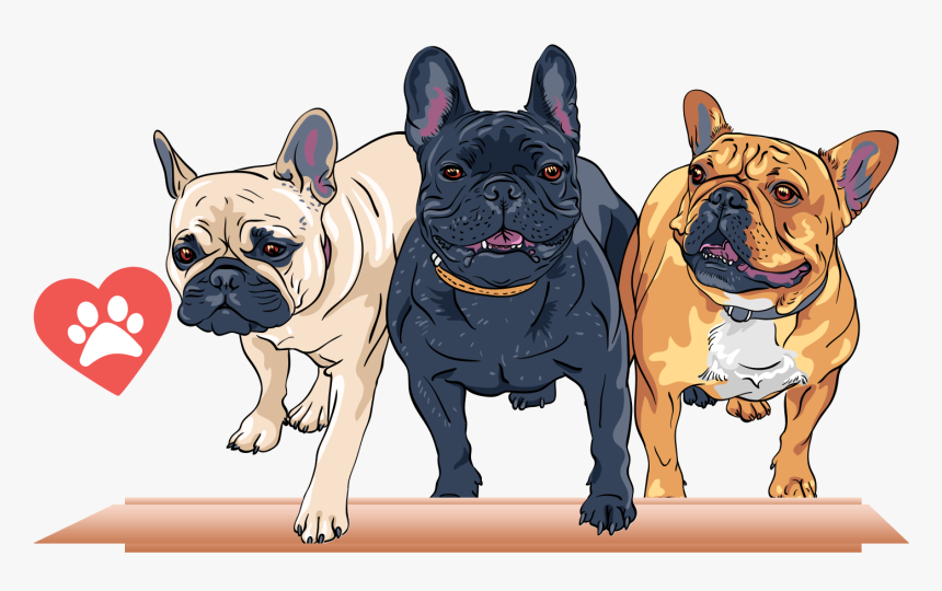 Transparent French Bulldog Clipart, HD Png Download