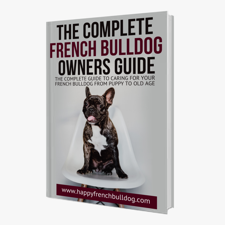 New Video Frontiers, HD Png Download