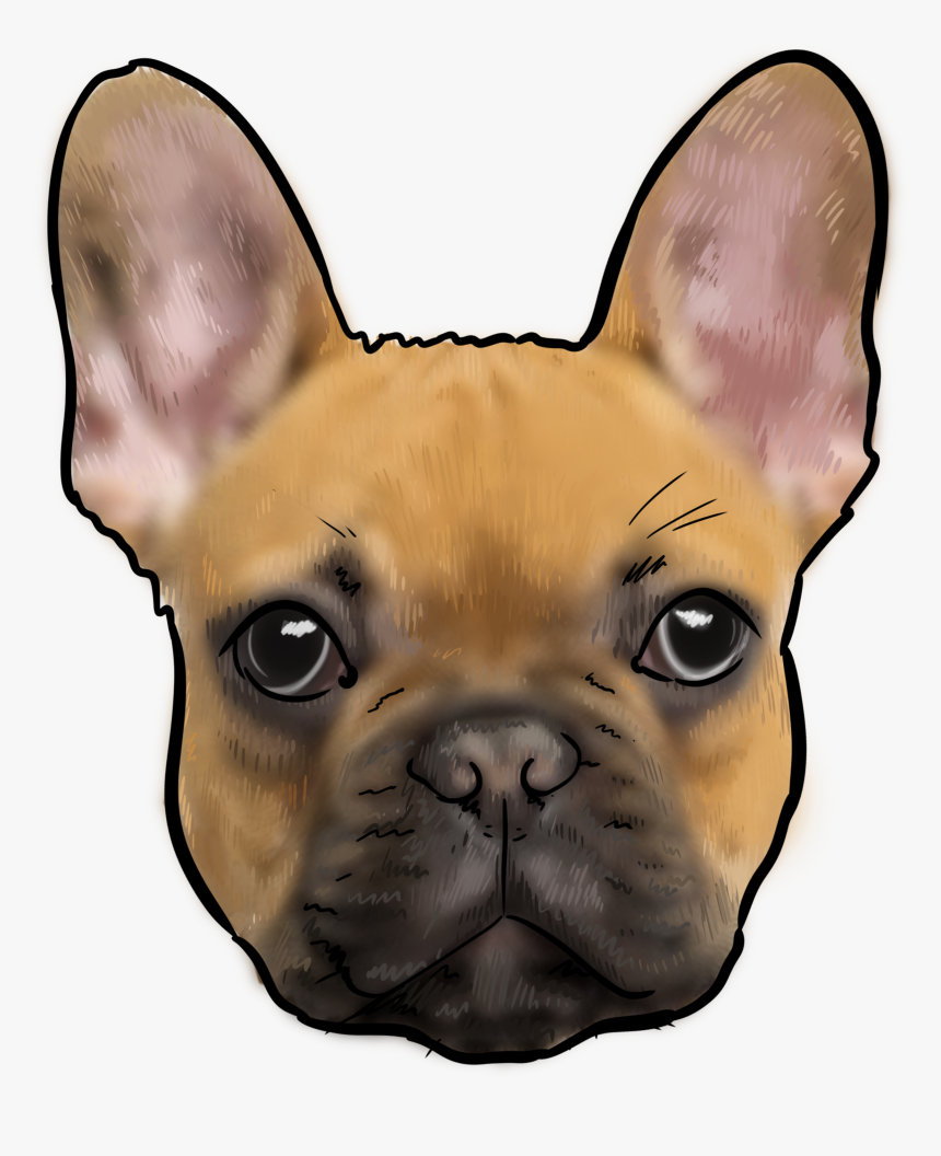 French Bulldog, HD Png Download