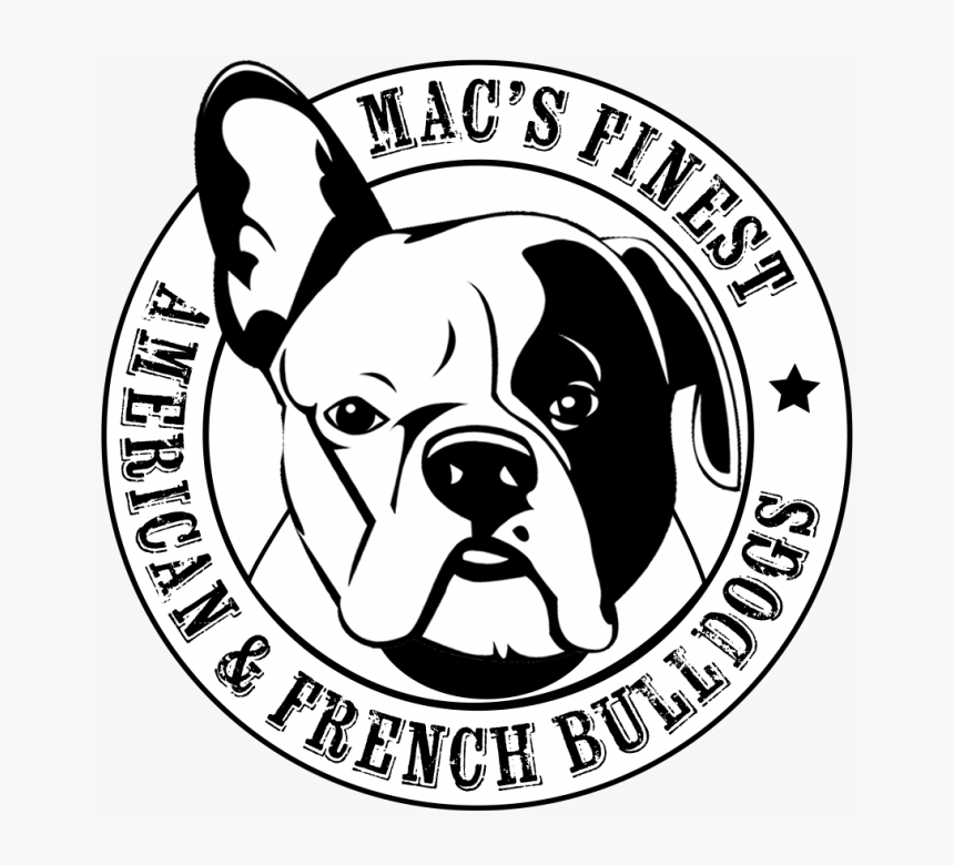 French Bulldog, HD Png Download