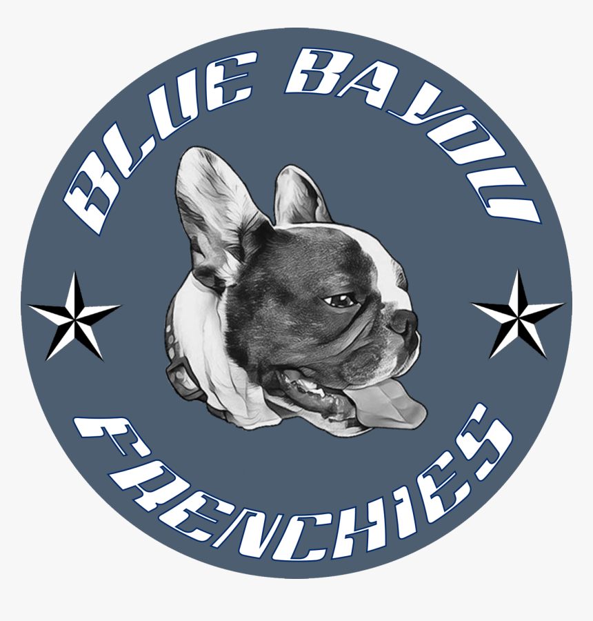 Proud Daughter Of A Vietnam Veteran, HD Png Download