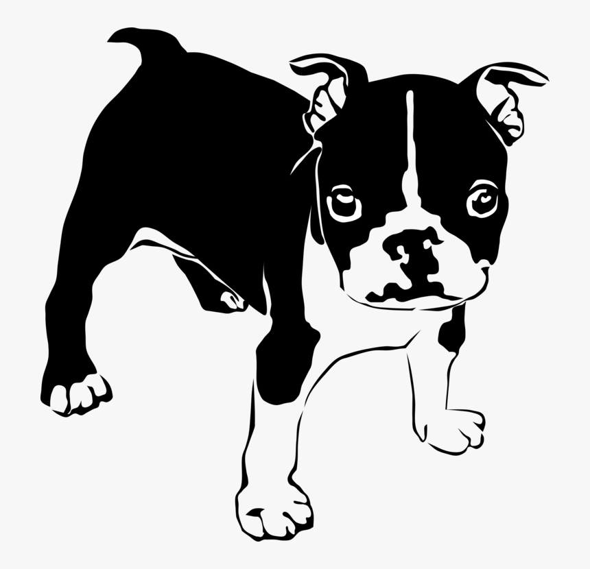 Non Sporting Group,boston Terrier,paw - Clipart Boston Terrier Svg, HD Png Download