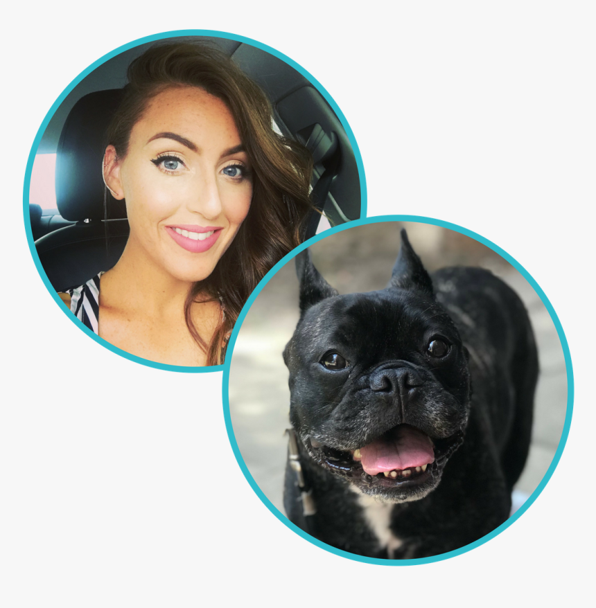 Claire & Lebron - French Bulldog, HD Png Download