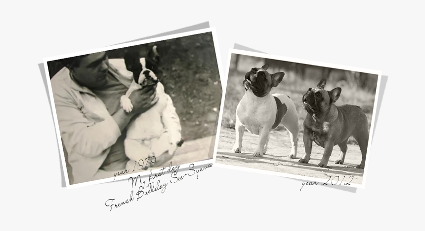 Photograph, HD Png Download