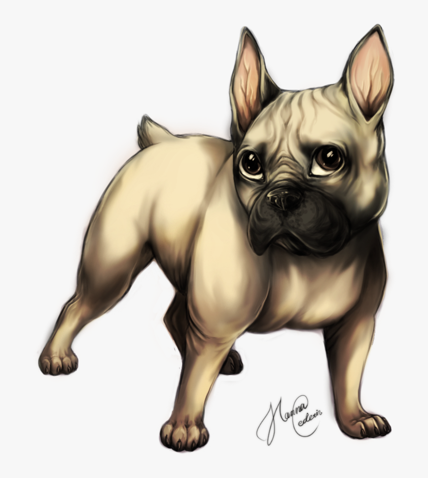 French Bulldog, HD Png Download