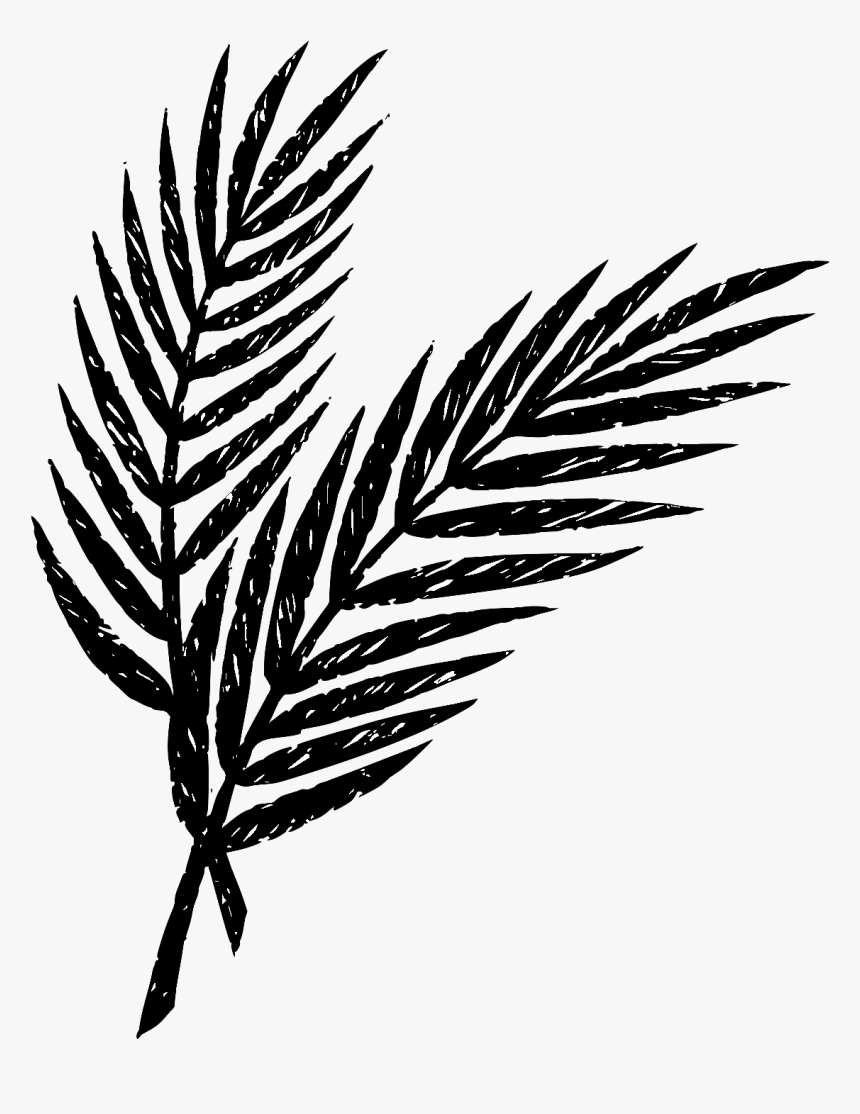 Palm Sunday Palm Clip Art, HD Png Download