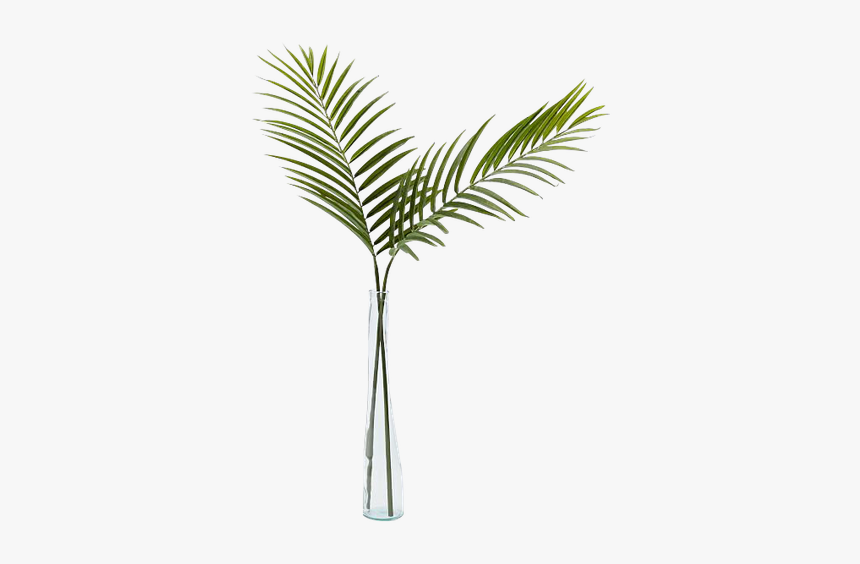 Single Palm Leaf In Vase, HD Png Download