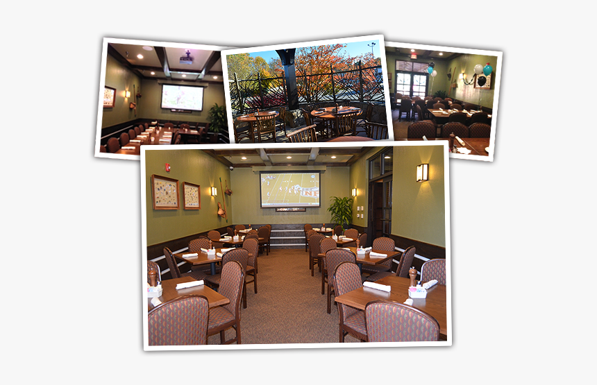 River Birch Png, Transparent Png