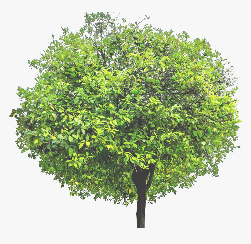 Hhd - Plane, HD Png Download