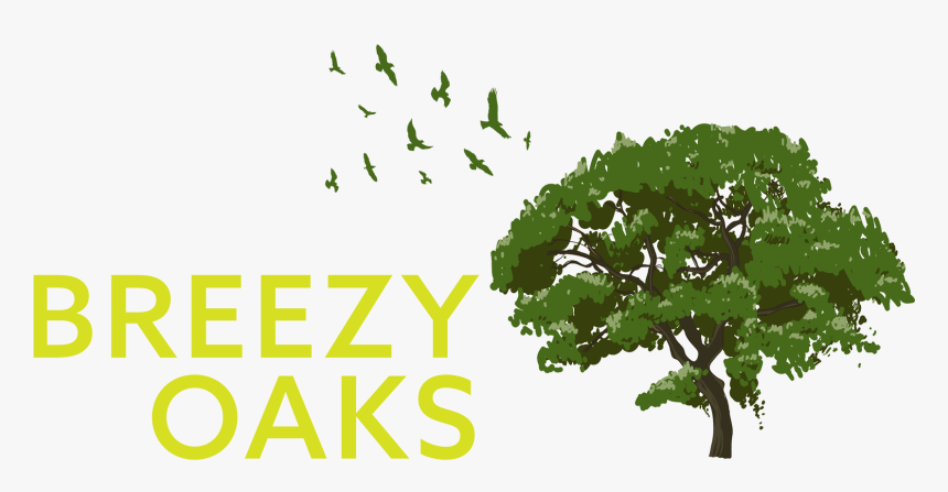 Breezy Oaks Rv Park , Png Download - Tree, Transparent Png