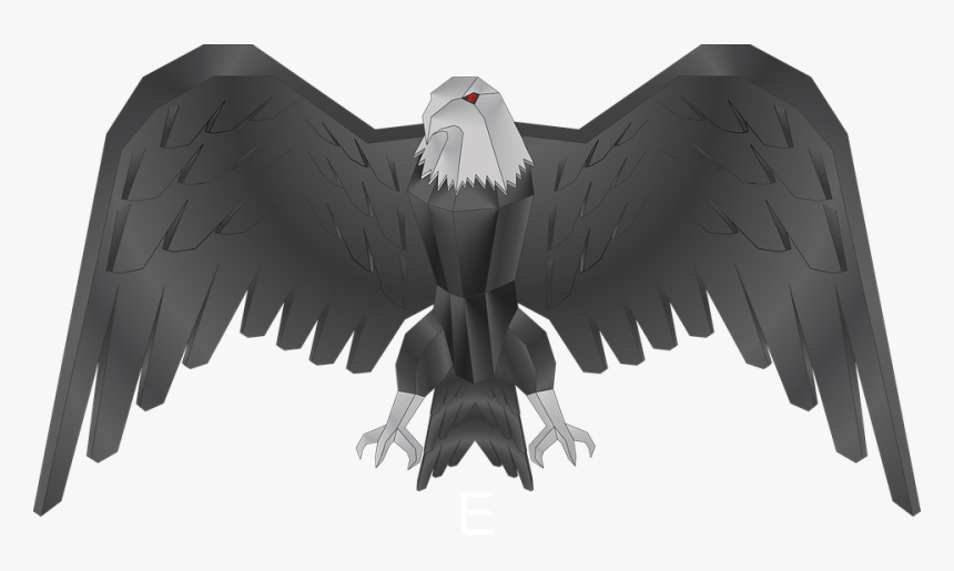 Falco, Falcon, Bird, Animal, Buzzard, Feathers, Beak - Bald Eagle, HD Png Download