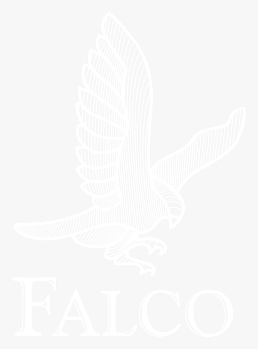 Falco Archery Usa - Falco Archery, HD Png Download