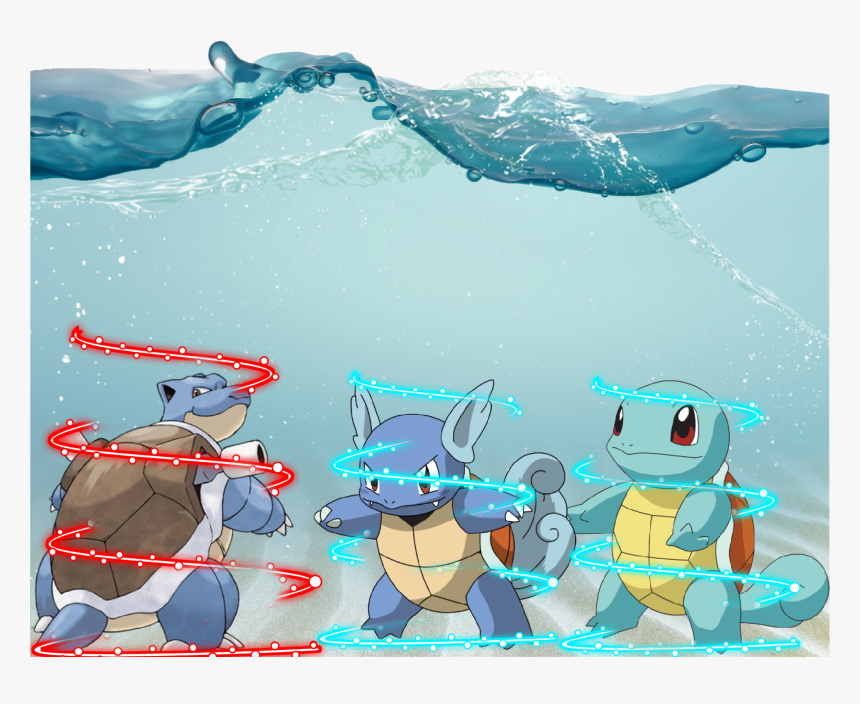 Transparent Wartortle Png - Bitcoin Whales, Png Download