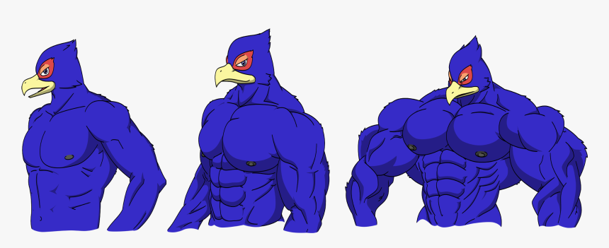 Falco S Sizes - Falco Muscle, HD Png Download