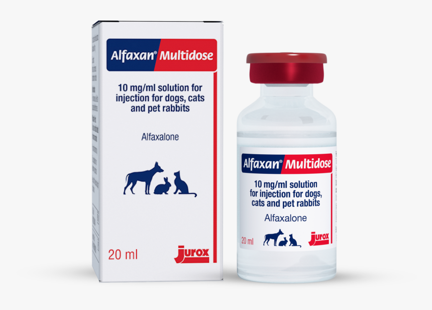 Image - Sara, HD Png Download