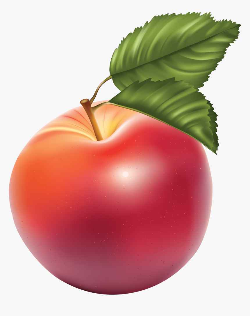 Apple Red Illustration Large - Apples Clipart Free, HD Png Download