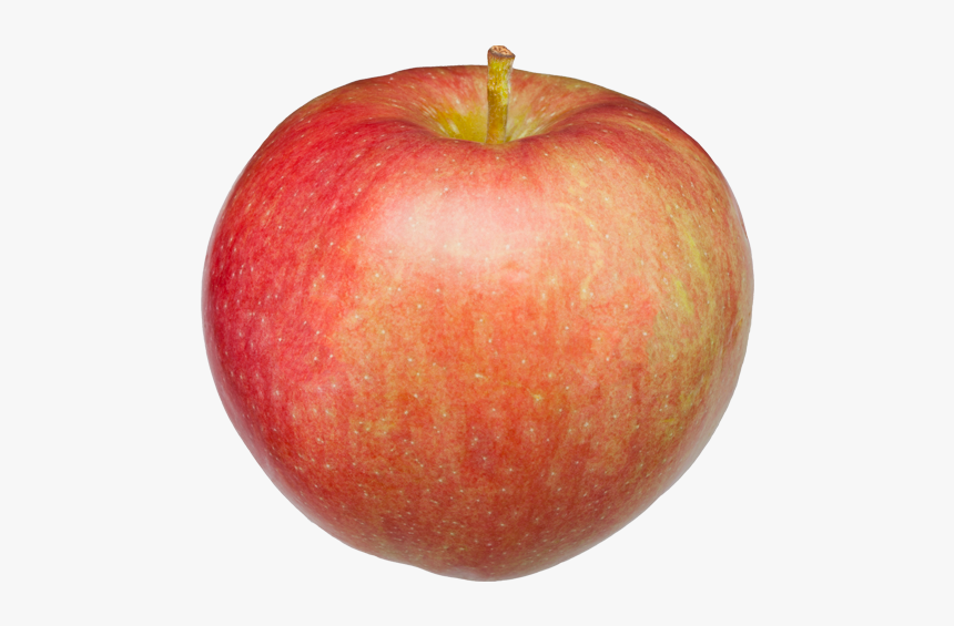 Paula Red, HD Png Download