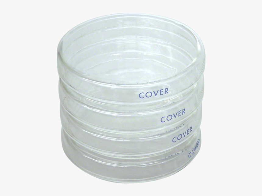 Glass Petri Dishes 

 
 Data Rimg Lazy 
 Data Rimg - Cup, HD Png Download