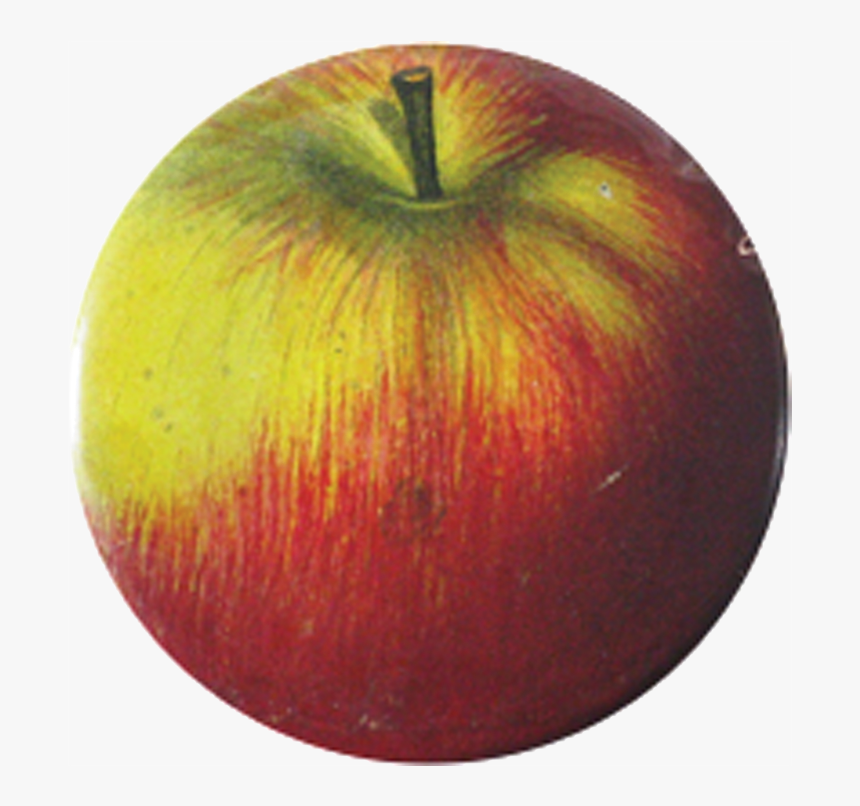 Mcintosh, HD Png Download