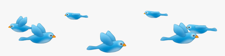 Birds Photo Booth Png, Transparent Png