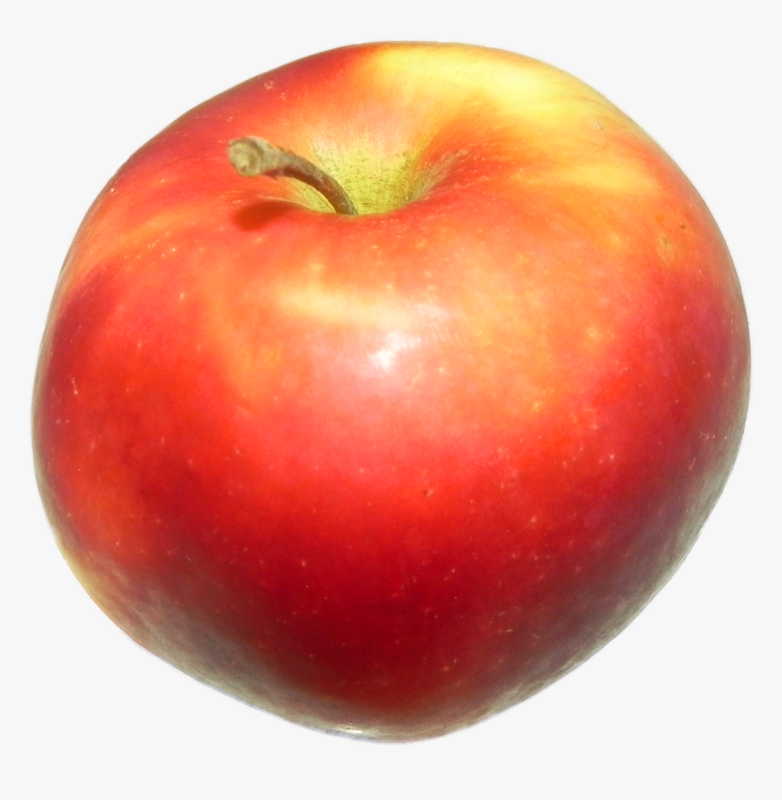 Apple Red 1 - Bush Tomato, HD Png Download