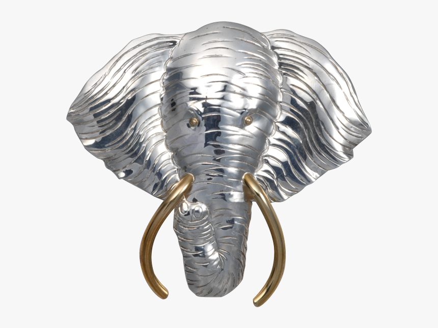 Lg , Png Download - African Elephant, Transparent Png