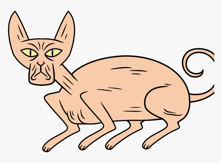 Transparent Whiskers Clipart, HD Png Download