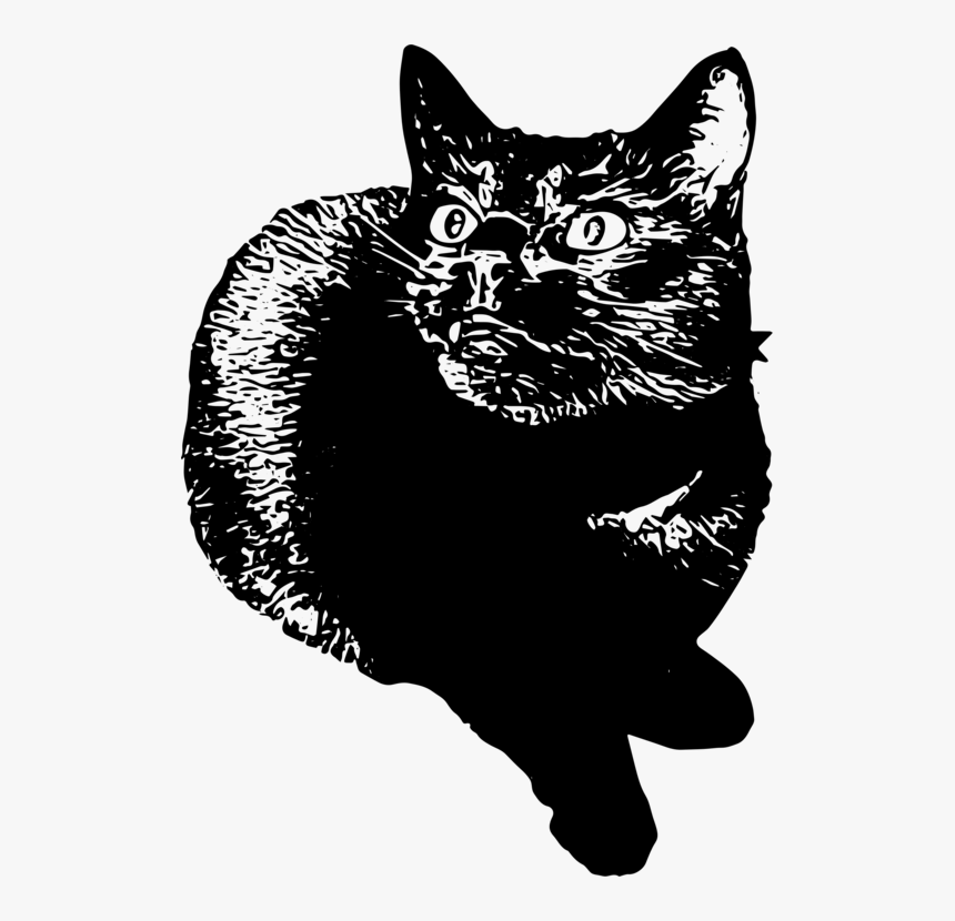 Domestic Short Haired Cat,snout,monochrome - Domestic Short-haired Cat, HD Png Download