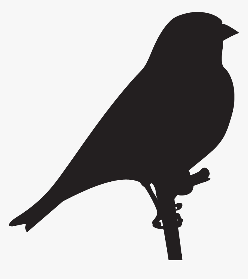 Finches - Goldfinch Silhouette, HD Png Download