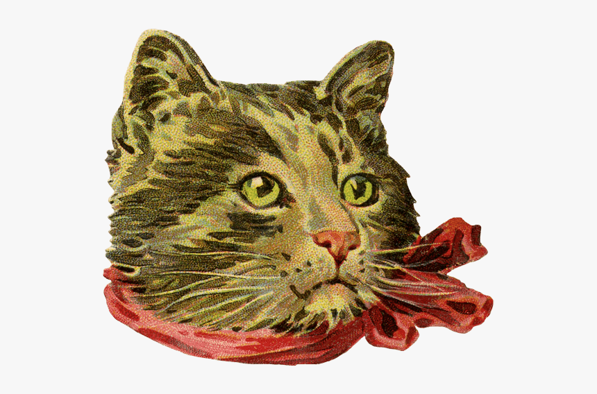 Vintage Cat - Portable Network Graphics, HD Png Download