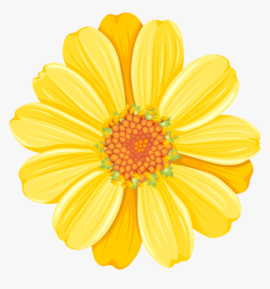 Yellow Daisy Png Transparent Clip Art Image , Transparent, Png Download