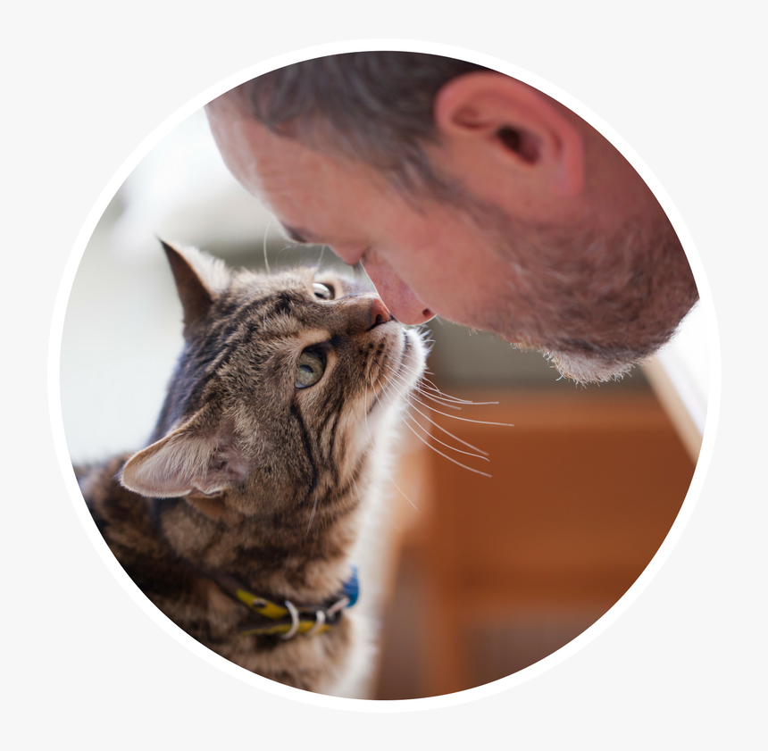 Happy Person With Cat, HD Png Download