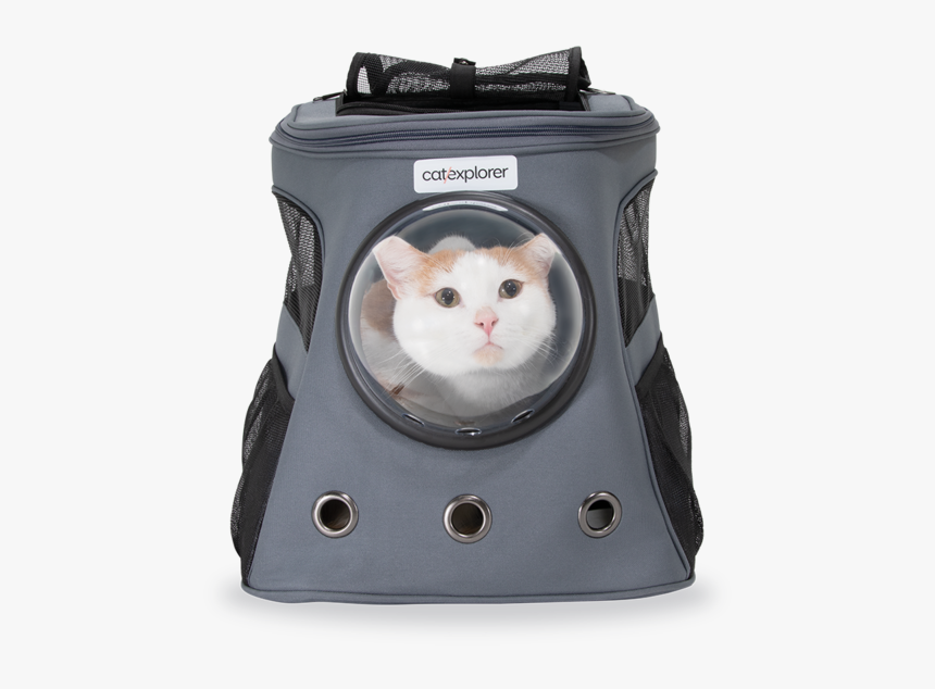 Catexplorer 1 May 19 0201 1500, HD Png Download