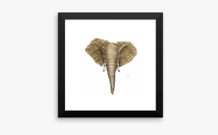 African Elephant, HD Png Download