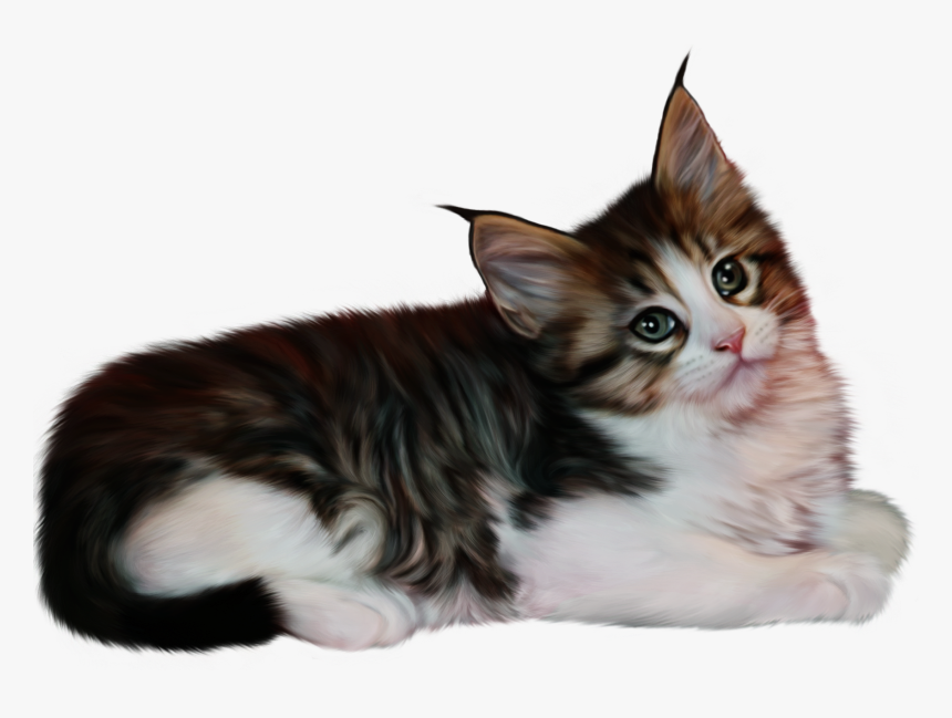 Cat Png - Майский Привет, Transparent Png