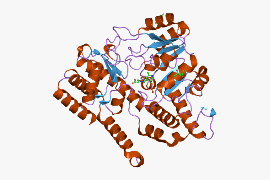 Pdb 2vmp Ebi - Graphic Design, HD Png Download