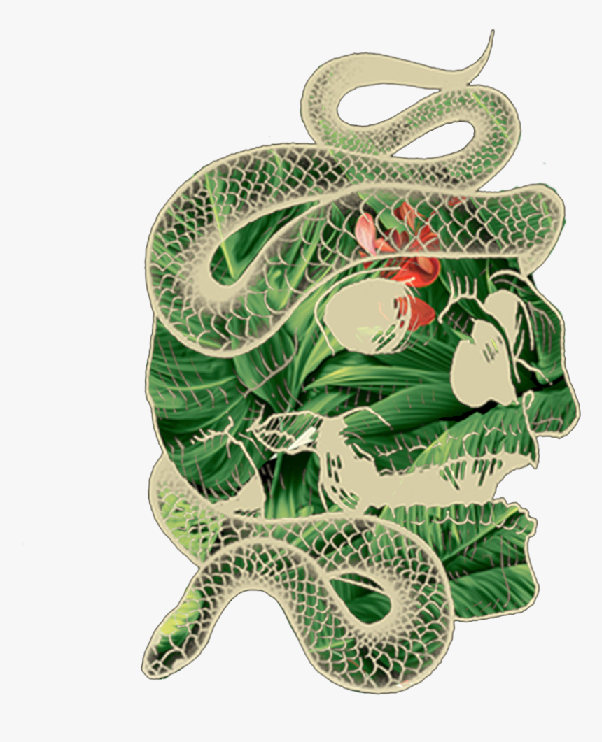 Illustration, HD Png Download