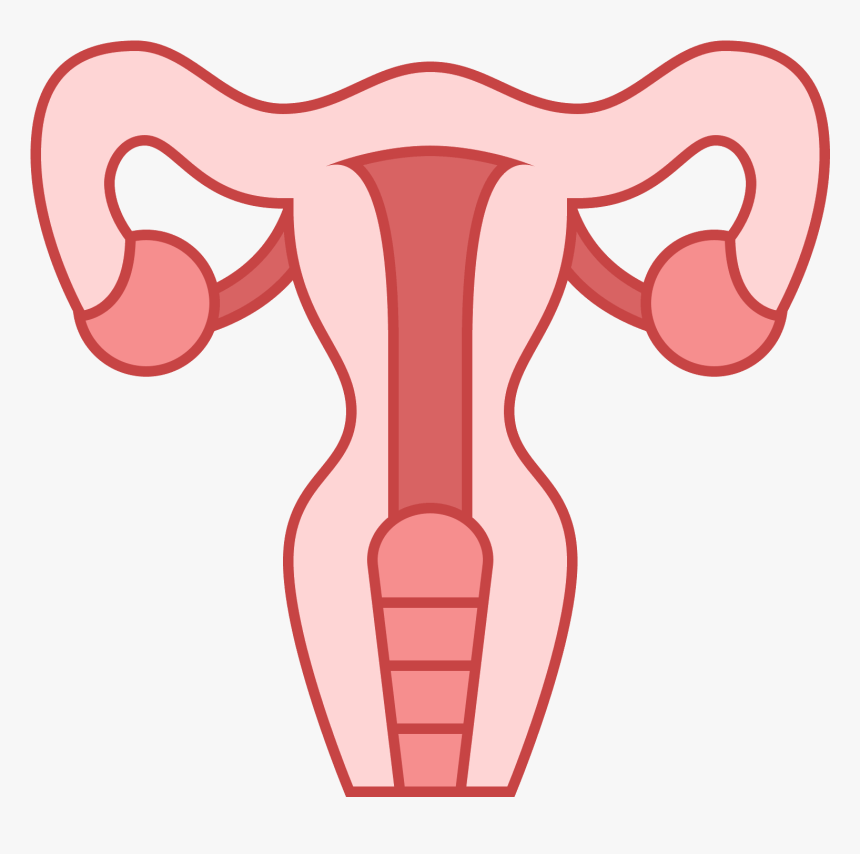 This Icon Represents The Uterus Of A Female Human - Clipart Uterus Png, Transparent Png